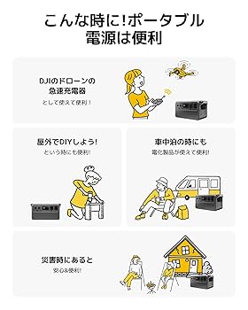 Amazon.co.jp: DJI Power 1000 ポータブル電源 1024Wh リン酸鉄